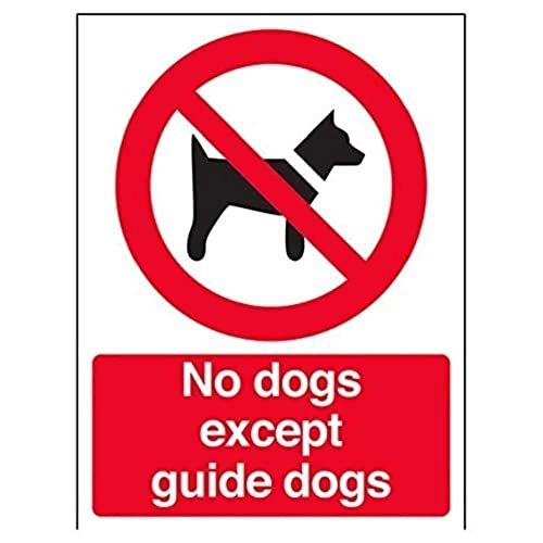 vsafety 54011 an-w"Keine Hunde außer Guide Dogs" Verbot Zeichen, Fenster Aufkleber, Portrait, 150 mm x 200 mm x 200 mm, schwarz/rot von VSafety