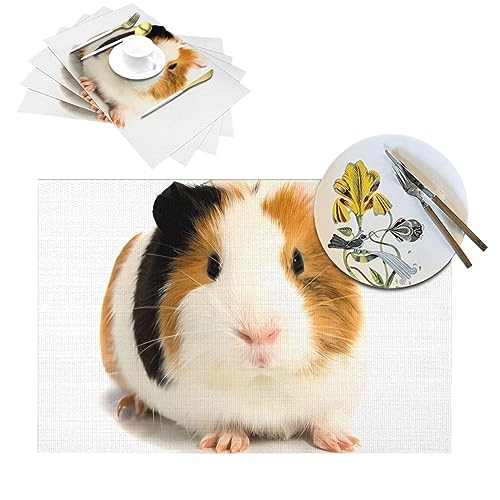 Niedliche Meerschweinchen PVC Tischsets Hitzebeständig Rutschfest Platzset Waschbar Abwischbar Tischmatten für Küche Esstisch Heimdekoration 30,5 x 45,7 cm von VTCTOASY