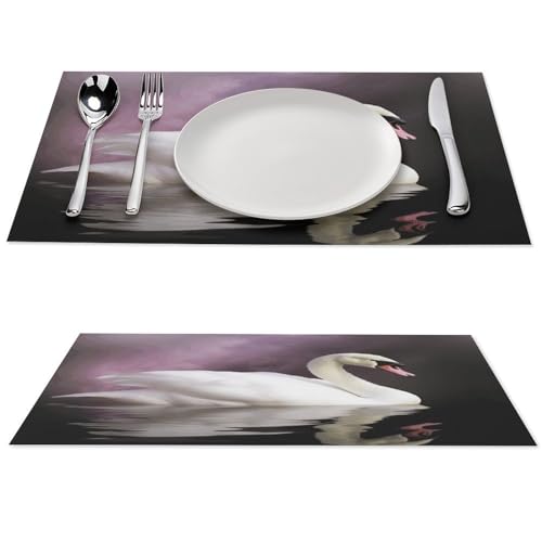 Platzsets 6er Set Tischsets für Küche Gewebtes Tischset Weiß Schwan Platzsets Waschbar Platzsets für Küche Hitzebeständig Rutschfest Esstisch Matten für Innen und Außen von VTCTOASY