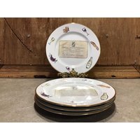 4 Vintage Rosanna Dessertteller Oder Käse Salat, Made in Italy Teller 20, 8 cm von VTGItemsAddedDaily