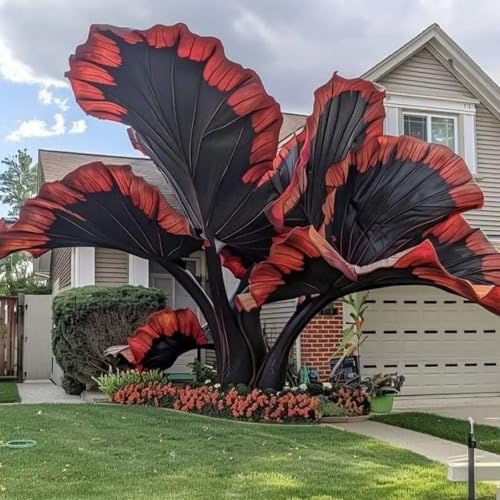 Elefantenohr-Rhizom, GartenschäTze, Riesige Blattpflanzen, Professionelle Bepflanzung, Tropische Dekoration, Stauden-10 Rhizom-B Elefantenohr-Rhizom, GartenschäTze, Riesige Blattpflanzen, Professionelle Bepflanzung, Tropische Dekoration, Stauden-10 Rhizom-B von VTYIWEKD