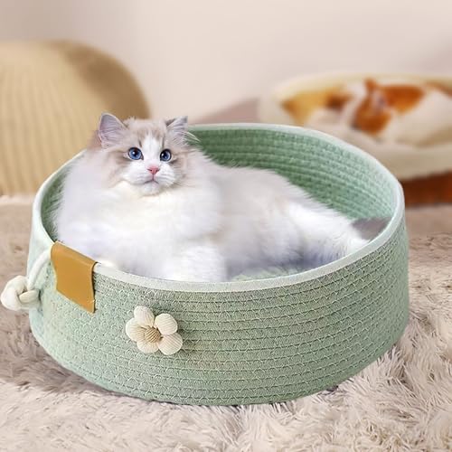 Katzenkörbchen, Katzenkorb mit Blumenverzierung, Großer Süßer Kätzchen Korb Nest Haustierhaus, Kratzpad Möbel Für Mittelgroße Große Katzen Wohnzimmer Büro Schlafzimmer Schreibtisch Couch (Grün, S) Katzenkörbchen, Katzenkorb mit Blumenverzierung, Großer Süßer Kätzchen Korb Nest Haustierhaus, Kratzpad Möbel Für Mittelgroße Große Katzen Wohnzimmer Büro Schlafzimmer Schreibtisch Couch (Grün, S) von VUKHWX