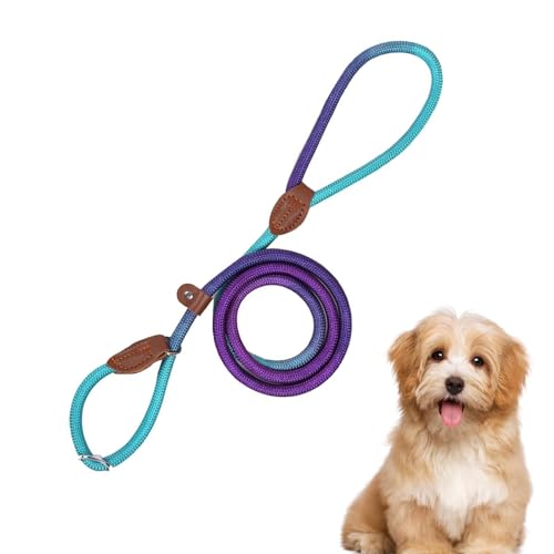 Retrieverleine mit Zugstopp, Haustier Gurtgeschirr für Hunde, Nylon Auslaufleine für Spaziergänge, Verstellbares Anti-Zug Geschirr Für Outdoor Aktivitäten Wandern Camping (D04, 0.8cm Dicke) von VUKHWX
