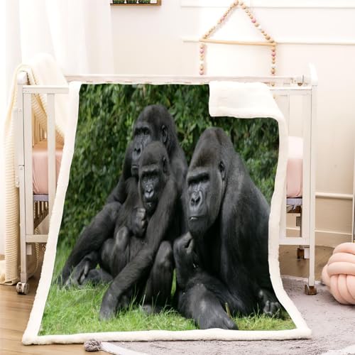 Kuscheldecken 150x200cm Gorilla Decke 3D Druck Warm Sherpa Sofaüberwurf Couchdecke Tier Weiche Plüsch Flauschige Fleecedecke Wohndecke Sofadecke für Kinder Erwachsene von VULORA