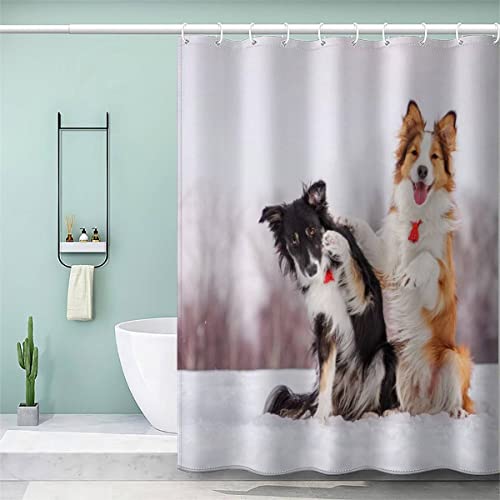 VULORA Duschvorhang Border Collie 180x200 Polyester Stoff Waschbar Textil Shower Curtains Anti-Schimmel Anti-Bakteriell Waschbar Badewanne Vorhang mit 12 Haken Hund Winter Badezimmer Badvorhang von VULORA