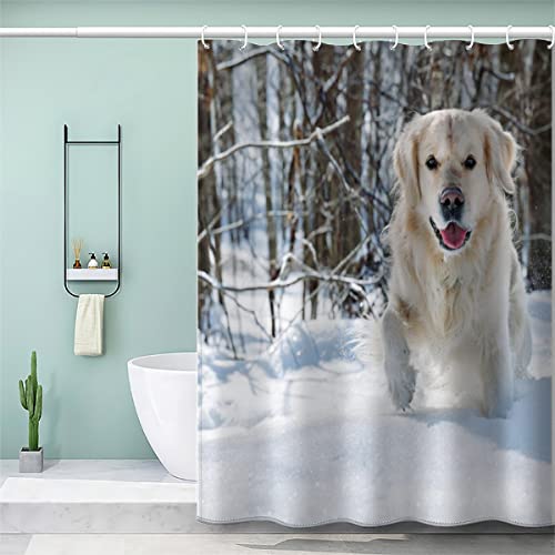 VULORA Duschvorhang Golden Retriever 120x180 Polyester Stoff Waschbar Textil Shower Curtains Anti-Schimmel Anti-Bakteriell Waschbar Badewanne Vorhang mit 12 Haken Schnee Tiere Badezimmer Badvorhang von VULORA