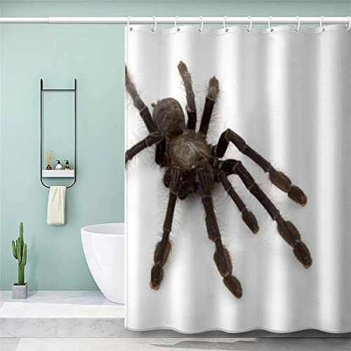 VULORA Spinne Duschvorhang Anti Schimmel 120x180 Tier Wasserdicht Polyester Stoff Badevorhang Waschbar Badewanne Vorhang für Badezimmer mit 12 Duschvorhangringen Shower Curtains von VULORA