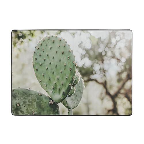 VVXBHGR Teppich mit Kaktus-Drucken, 203,2 x 147,3 cm, für Wohnzimmer, Büro, Couchtisch, Bett, Balkon, weich, flauschig, wasserabsorbierend, langlebig VVXBHGR Teppich mit Kaktus-Drucken, 203,2 x 147,3 cm, für Wohnzimmer, Büro, Couchtisch, Bett, Balkon, weich, flauschig, wasserabsorbierend, langlebig von VVXBHGR