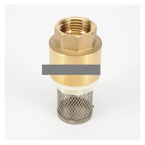 VWWJCCRO 1" BSP Female Brass Spring Check Valve with Strainer Filter 1.6Mpa VWWJCCRO 1" BSP Female Brass Spring Check Valve with Strainer Filter 1.6Mpa von VWWJCCRO