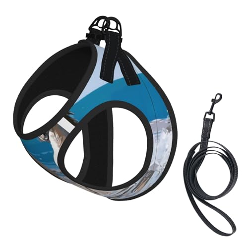 L Pet Leash Vest & Dog Harness - Small Size Beach White Horse Print Leash Set, Reflective, Adjustable for Cats & Dogs von VXXNlnn