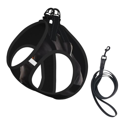 L Pet Leash Vest & Dog Harness - Small Size Black Labrador Print Leash Set, Reflective, Adjustable for Cats & Dogs L Pet Leash Vest & Dog Harness - Small Size Black Labrador Print Leash Set, Reflective, Adjustable for Cats & Dogs von VXXNlnn