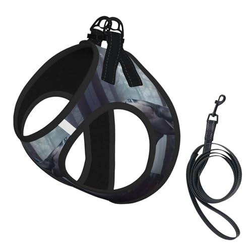 L Pet Leash Vest & Dog Harness - Small Size Funny Fish Design Print Leash Set, Reflective, Adjustable for Cats & Dogs von VXXNlnn