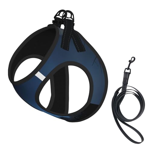 M Haustier-Leine, Weste und Hundegeschirr, klein, Halloween-Kürbis-Druck, reflektierend, verstellbar für Katzen und Hunde M Haustier-Leine, Weste und Hundegeschirr, klein, Halloween-Kürbis-Druck, reflektierend, verstellbar für Katzen und Hunde von VXXNlnn