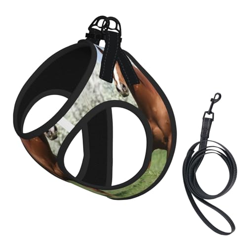 S Pet Leash Vest & Dog Harness - Small Size Horse in Front Flowering Trees Print Leash Set, Reflective, Adjustable for Cats & Dogs S Pet Leash Vest & Dog Harness - Small Size Horse in Front Flowering Trees Print Leash Set, Reflective, Adjustable for Cats & Dogs von VXXNlnn