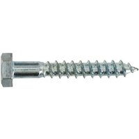 Zugbolzen aus verzinktem Stahl 6x50, 5 Stück. Zugbolzen aus verzinktem Stahl 6x50, 5 Stück. von VYNEX