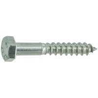 Zugbolzen Edelstahl A2, 8x60mm, 4 Stück. Zugbolzen Edelstahl A2, 8x60mm, 4 Stück. von VYNEX