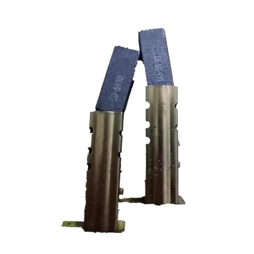 VYUHAksZ 220 V 110 V oder 24 V 36 V 48 V Motorkohlebürste for ametek for Philips for midea for haier for rowenta Staubsauger Waschmaschine Saugmotor(24V 36V 48V) von VYUHAksZ