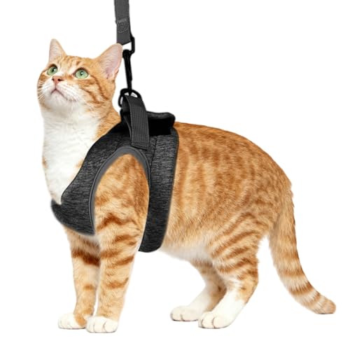 VZU Ausbruchsicheres Katzengeschirr Set mit Katzenleinen, Katzengeschirr und Leine Set, Verstellbar Katzenweste, Das Brustgeschirr-Set Ist für Einen Brustumfang Von 28–33 cm Geeignet Katzen/Welpen M VZU Ausbruchsicheres Katzengeschirr Set mit Katzenleinen, Katzengeschirr und Leine Set, Verstellbar Katzenweste, Das Brustgeschirr-Set Ist für Einen Brustumfang Von 28–33 cm Geeignet Katzen/Welpen M von VZU