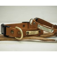 Handgefertigtes Hundehalsband Aus Braunem Leder Personalisiertes Verstellbares Halsband von VacForPets