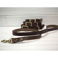 Handgefertigtes Leder Hundehalsband Und Hundeleine Personalisierte Braune Messing-Hardwares von VacForPets