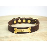 Hundehalsband Aus Leder Braunes Leder Mit Metall-Hardwares Id von VacForPets