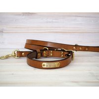 Hundehalsband Und -Leine Aus Vegetabil Gegerbtem Leder Xl-Rasse, Massives Messing von VacForPets