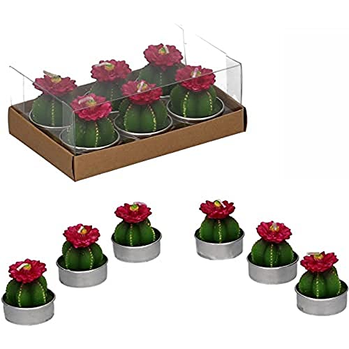 Vacchetti Cactus Kerze mit Blume Fuchsia Packung 6 Stück, Other, klein von Vacchetti Giuseppe