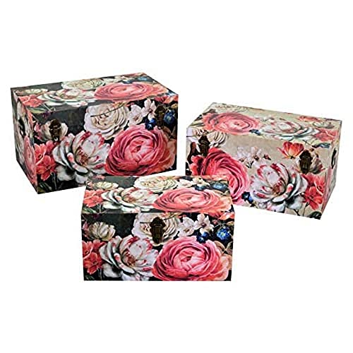 Vacchetti Giuseppe 3822920000 Truhe, Ökoleder, cremefarben, Medio, 3 von Vacchetti Giuseppe