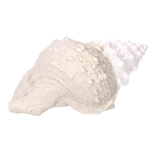 Vacchetti Giuseppe Muschelkeramik Meer, Keramik, Weiß/Muschel/Creme/Creme, Piccolo von Vacchetti Giuseppe