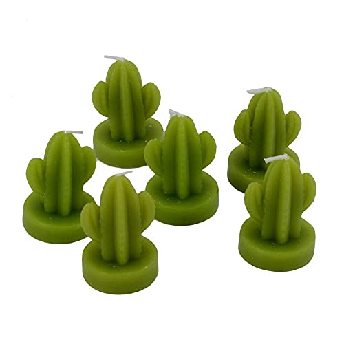 Vacchetti Kerze Cactus Grün, 6 Stück, Other, mittel von Vacchetti Giuseppe