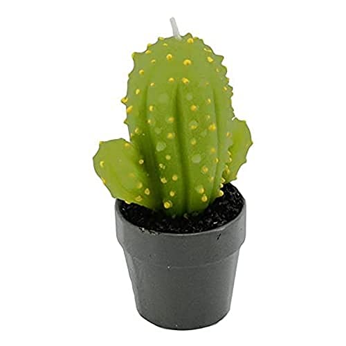 Vacchetti Kerze Cactus grün mit Vase, Other, mittel von Vacchetti Giuseppe