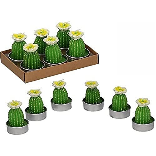 Vacchetti Kerze Cactus mit weißer Blume Packung 6 Stück, Other, mittel von Vacchetti Giuseppe