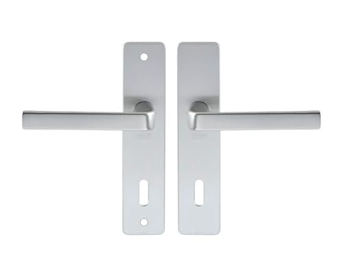 BEZAULT SAS EIA10008 Set KAZA – Platte 190 x 42 mm – Befestigungsabstand 165 mm – Silber – 1364/6329 – Schlüssel L von Vachette