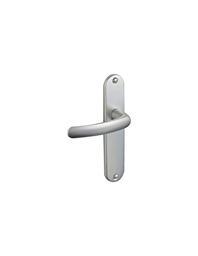 Vachette BEZAULT 73268 Tür-Set mit Schlüssel, 165 mm, L-silberfarben von Vachette