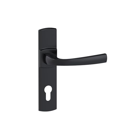 Vachette Türgriff-Set auf Muze-Platte – Schlüssel-Version I, Eingangstür, Büro, Garage – Stichmaß 195 mm – einfaches Befestigungssystem – strapazierfähiges Zamak – schwarze Onyx-Oberfläche Vachette Türgriff-Set auf Muze-Platte – Schlüssel-Version I, Eingangstür, Büro, Garage – Stichmaß 195 mm – einfaches Befestigungssystem – strapazierfähiges Zamak – schwarze Onyx-Oberfläche von Vachette