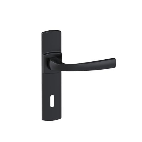 Vachette Türgriff-Set auf Muze-Platte – Schlüssel-Version L, Schlafzimmertür, Büro – Stichmaß 195 mm – System zum einfachen Anbringen – strapazierfähiges Zamak – schwarze Onyx-Oberfläche Vachette Türgriff-Set auf Muze-Platte – Schlüssel-Version L, Schlafzimmertür, Büro – Stichmaß 195 mm – System zum einfachen Anbringen – strapazierfähiges Zamak – schwarze Onyx-Oberfläche von Vachette