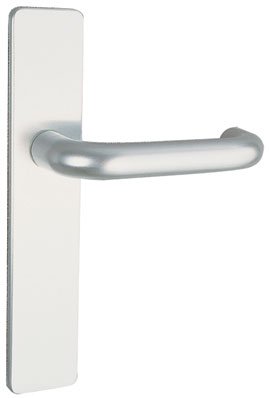 Vachette Türgriff-Set auf Platte Bercy – Schlüssel-Version I für Tür, Abstand 195 mm – Installation rechts – einfache Montage – aus eloxiertem Aluminium – silberfarbene Oberfläche von Vachette