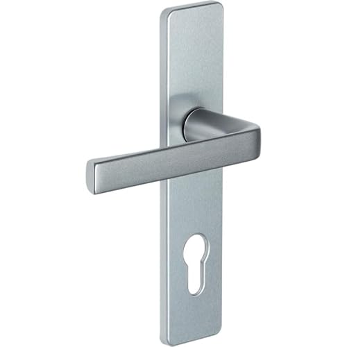 Vachette Türgriff-Set auf Platte KAZA – Schlüsselversion I Eingangstür/Keller/Gartenhaus mit Zylinder – Abstand 165 mm – Material: robustes Aluminium – Anodinox-Oberfläche von Vachette