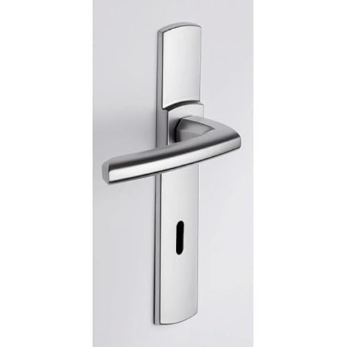 Vachette Türgriff-Set auf SULT-Platte – Schlüssel-Version L für Zimmertüren und Bürotüren – Abstand 195 mm – strapazierfähiges Zamak-Material – Platin-Finish von Vachette