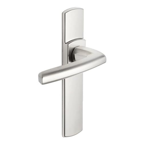 Vachette Türgriff-Set auf SULT-Platte – Schlüsselversion I für Eingangstür/Keller/Gartenhäuser – Abstand 165 mm – strapazierfähiges Zamak-Material – Platin-Finish von Vachette