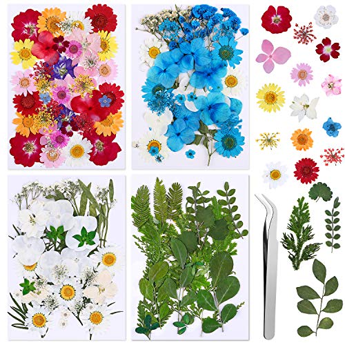 Vacoulery 134 Stück Echt Getrocknete Gepresste Blumen DIY Natürliche Getrocknet Blumen Set Gemischte Getrocknete Blätter für Kunst Basteln DIY Harz Kerze Scrapbooking Handwerk Karten Machen von Vacoulery