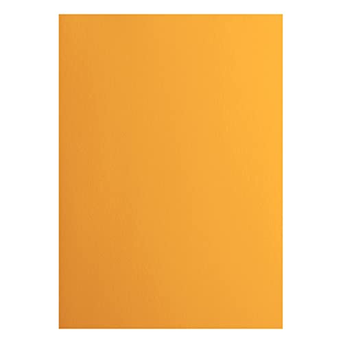 Vaessen Creative 2927-008 Florence Cardstock Papier, Orange, 216 Gramm/m², DIN A4, 10 Stück, Glatt, für Scrapbooking, Kartenherstellung, Stanzen und andere Papierbasteleien von Vaessen Creative