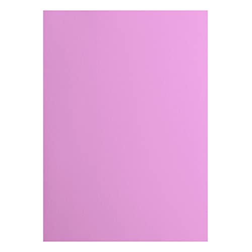 Vaessen Creative 2927-035 Florence Cardstock Papier, Rosa, 216 Gramm/m², DIN A4, 10 Stück, Glatt, für Scrapbooking, Kartenherstellung, Stanzen und andere Papierbasteleien von Vaessen Creative