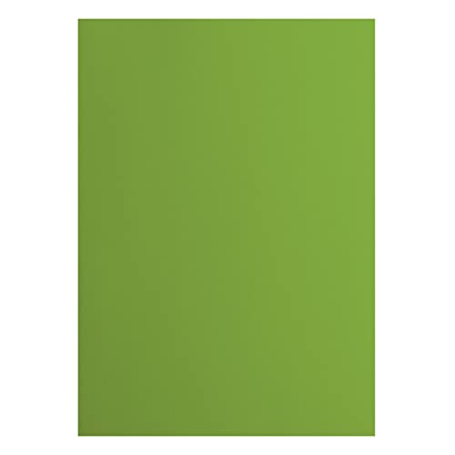 Vaessen Creative 2927-074 Florence Cardstock Papier, Grün, 216 Gramm/m², DIN A4, 10 Stück, Glatt, für Scrapbooking, Kartenherstellung, Stanzen und andere Papierbasteleien, Frog von Vaessen Creative