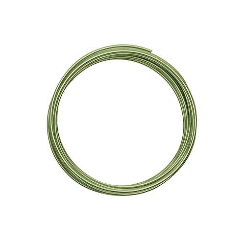 Vaessen Creative Basteldraht und Schmuckdraht 5 m x 2 mm Apple Green – Flexibler Draht zum Basteln für Blumenkranz, Scmuckherstellung und Modellbau Vaessen Creative Basteldraht und Schmuckdraht 5 m x 2 mm Apple Green – Flexibler Draht zum Basteln für Blumenkranz, Scmuckherstellung und Modellbau von Vaessen Creative