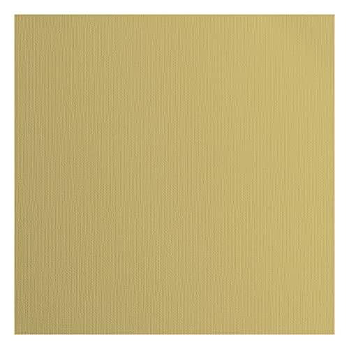 Vaessen Creative Florence Cardstock Papier, Beige, 216 Gramm/m², Quadratisch, 30,5 x 30,5 cm, 20 Stück, Textur, für Scrapbooking, Kartenherstellung, Stanzen und andere Papierbasteleien Vaessen Creative Florence Cardstock Papier, Beige, 216 Gramm/m², Quadratisch, 30,5 x 30,5 cm, 20 Stück, Textur, für Scrapbooking, Kartenherstellung, Stanzen und andere Papierbasteleien von Vaessen Creative