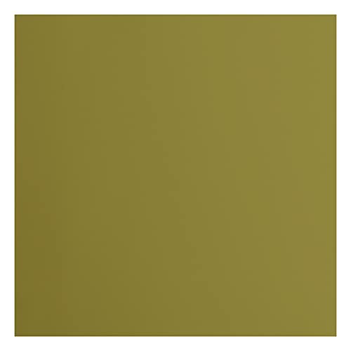 Vaessen Creative Florence Cardstock Papier, Grün, 216 Gramm/m², Quadratisch, 30,5 x 30,5 cm, 20 Stück, Glatt, für Scrapbooking, Kartenherstellung, Stanzen und andere Papierbasteleien Vaessen Creative Florence Cardstock Papier, Grün, 216 Gramm/m², Quadratisch, 30,5 x 30,5 cm, 20 Stück, Glatt, für Scrapbooking, Kartenherstellung, Stanzen und andere Papierbasteleien von Vaessen Creative