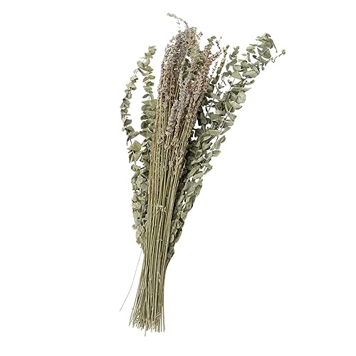 Vaguelly 1 Satz Eukalyptus Bouquet Getrocknete Eukalyptusstängel Strauß Kranz Trockenblumen Zum Basteln Getrocknetes Lavendelbündel Getrockneter von Vaguelly