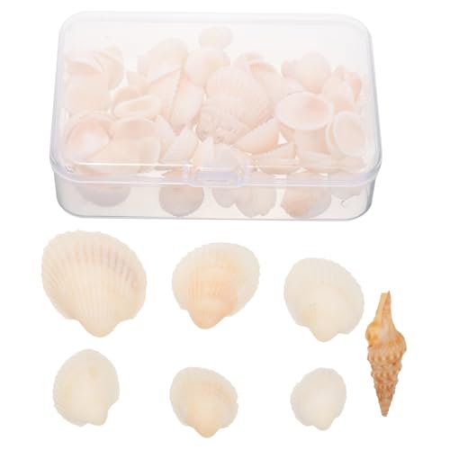 Vaguelly Muscheln Zum Basteln Dekorative Kleine Muscheln Natur Handwerk Ornamente Zum Dekorieren DIY Hause Aquarium Schmuckstücke Für Dekoration von Vaguelly