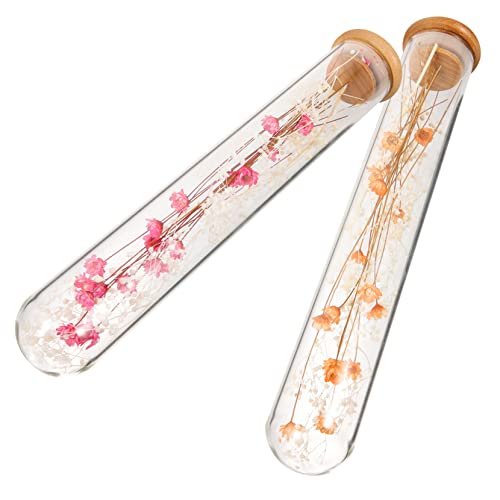 Vaguelly 2 Stück Ewige Blumen-wunschvase Natürliche Trockenblumen-Requisiten Kernstück Wünschen Material Für Blumenarrangements Selber Machen Flaschenstütze Dekorativ Glücklich Party Glas Vaguelly 2 Stück Ewige Blumen-wunschvase Natürliche Trockenblumen-Requisiten Kernstück Wünschen Material Für Blumenarrangements Selber Machen Flaschenstütze Dekorativ Glücklich Party Glas von Vaguelly